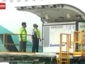 VIDEO: Vaksin Sinovac Datang Lagi, RI Punya 3 Juta Dosis