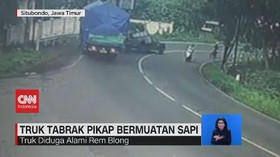 VIDEO: Truk Tabrak Pikap Bermuatan Sapi
