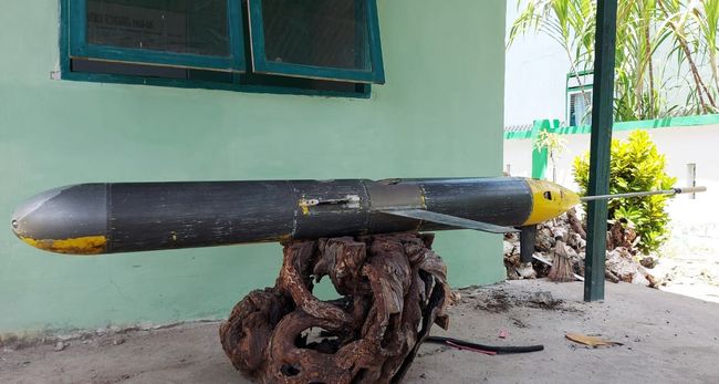 Apa Arti Bahasa Indonesia Nya Drone - Picture Of Drone