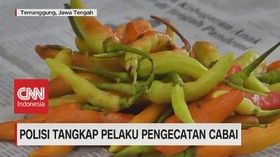 VIDEO: Polisi Tangkap Pelaku Pengecatan Cabai