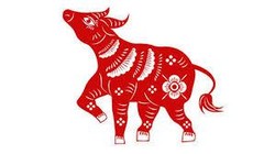 5 Shio yang Diprediksi Bakal Hoki Saat Imlek