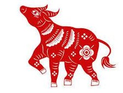 5 Shio yang Diprediksi Bakal Hoki Saat Imlek