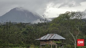 Rayuan Sayur Cahaya Alam di Tanah Surga Kopi