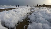 FOTO: Polusi Berkedok Busa di Pantai Chennai Pantai Marina di Chennai, India, mendadak berbusa. Pengamat lingkungan memperkirakan fenomena itu berasal dari limbah deterjen yang dibuang ke laut.
