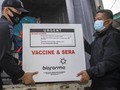 Rincian Daerah dan Distribusi Vaksin Sinovac per 11 Januari
