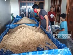 Harga Kedelai Mahal, Perajin di Parepare Perkecil Ukuran Tahu-Tempe
