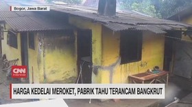 VIDEO: Harga Kedelai Meroket, Pabrik Tahu Terancam Bangkrut