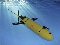 Autokritik Pertahanan Laut Kita