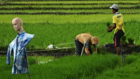 Ada Pemerintah dan Aturan Dalam Kencangnya Alih Fungsi Lahan