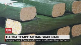 VIDEO: Harga Tempe Merangkak Naik