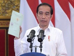 Jokowi Mau Bagi-bagi Lahan Puluhan Hektare! tapi Ada Syaratnya