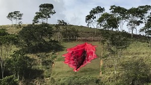 FOTO: Penampakan Patung Vagina Raksasa yang Kontroversial