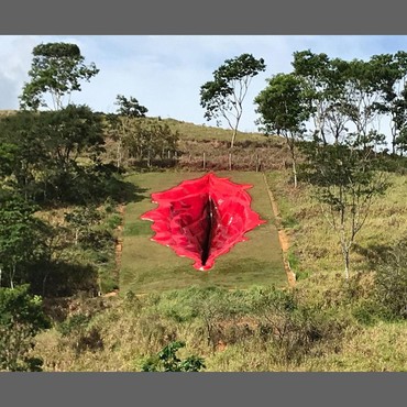 Kontroversi Patung Vagina Raksasa Karya Juliana Notari di Brazil