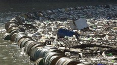 Walhi Jakarta Kritik Rencana Heru Budi Bikin Pulau Sampah