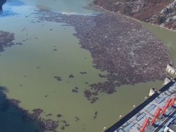 Pulau Sampah Muncul di Sungai Bosnia
