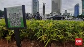 FOTO: Barcode Tanaman di Sepanjang Sudirman-Thamrin Pemprov DKI Jakarta memasang barcode di sejumlah tanaman yang ada di Jalan Sudirman-Thamrin, dengan tujuan memudahkan masyarakat mengetahui jenis pohon.