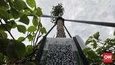 FOTO: Barcode Tanaman di Sepanjang Sudirman-Thamrin Pemprov DKI Jakarta memasang barcode di sejumlah tanaman yang ada di Jalan Sudirman-Thamrin, dengan tujuan memudahkan masyarakat mengetahui jenis pohon.