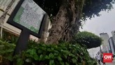 FOTO: Barcode Tanaman di Sepanjang Sudirman-Thamrin Pemprov DKI Jakarta memasang barcode di sejumlah tanaman yang ada di Jalan Sudirman-Thamrin, dengan tujuan memudahkan masyarakat mengetahui jenis pohon.