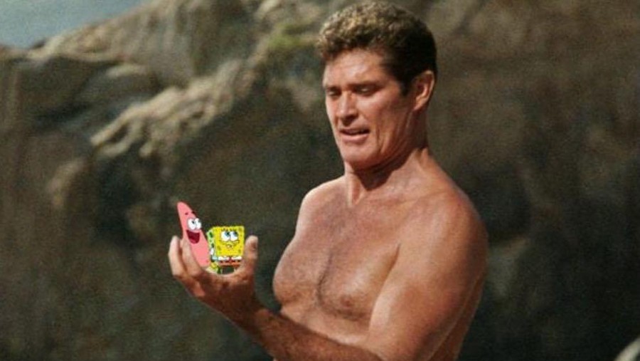 David Hasselhoff David Hasselhoff