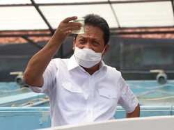 Perikanan Budidaya, Mesin Ekonomi Baru