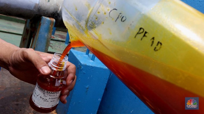 Bongkar Muat Minyak Crude Palm Oil (CPO) (CNBC Indonesia/Tri Susilo)