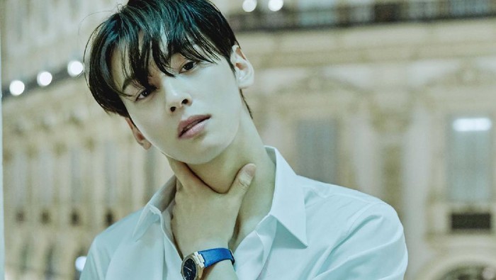 Cha Eun Woo