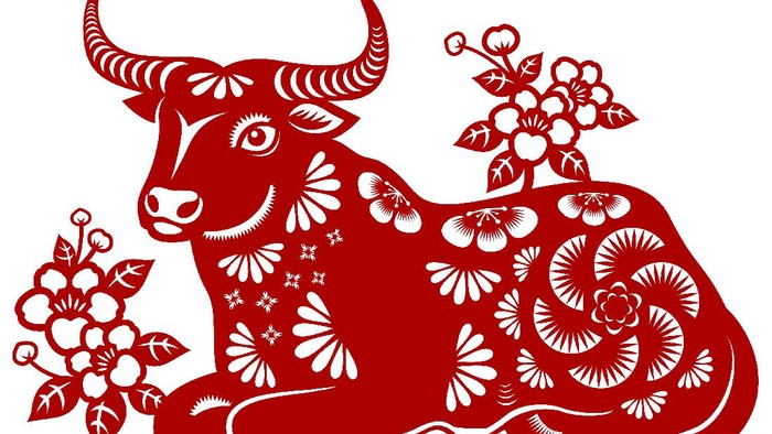 Celebrate the Year of the Ox with the red colored paper cut, and the ox is the Chinese Zodiac sign for the Chinese New Year 2021