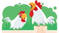 Prediksi Shio Ayam 2023: yang Lajang Berpeluang Temukan Belahan Jiwanya Tahun Ini