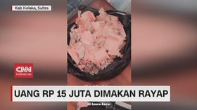 VIDEO: Uang Rp 15 Juta Dimakan Rayap