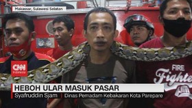VIDEO: Ular Sanca 'Berkunjung' ke Pasar Malam