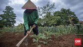 FOTO: Belajar sambil Berekreasi di Kawasan Eduwisata Ragunan Kawasan Agro Edukasi Wisata Ragunan bisa menjadi salah satu pilihan berpelesir sejenak di Jakarta.