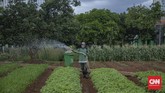 FOTO: Belajar sambil Berekreasi di Kawasan Eduwisata Ragunan Kawasan Agro Edukasi Wisata Ragunan bisa menjadi salah satu pilihan berpelesir sejenak di Jakarta.
