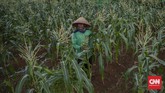 Kawasan Agro Edukasi Wisata Ragunan bisa menjadi salah satu pilihan berpelesir sejenak di Jakarta.