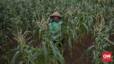 FOTO: Belajar sambil Berekreasi di Kawasan Eduwisata Ragunan Kawasan Agro Edukasi Wisata Ragunan bisa menjadi salah satu pilihan berpelesir sejenak di Jakarta.