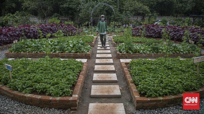 Kawasan Agro Edukasi Wisata Ragunan bisa menjadi salah satu pilihan berpelesir sejenak di Jakarta.