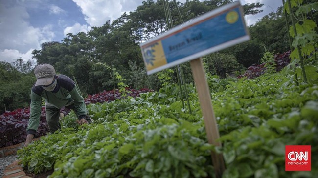 Kawasan Agro Edukasi Wisata Ragunan bisa menjadi salah satu pilihan berpelesir sejenak di Jakarta.