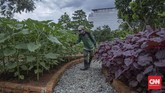 FOTO: Belajar sambil Berekreasi di Kawasan Eduwisata Ragunan Kawasan Agro Edukasi Wisata Ragunan bisa menjadi salah satu pilihan berpelesir sejenak di Jakarta.