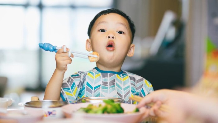 Anak makan
