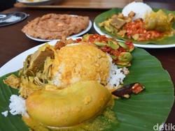 Dokter Hewan Ini Rela Dibayar Nasi Padang untuk Bantu Obati Hewan