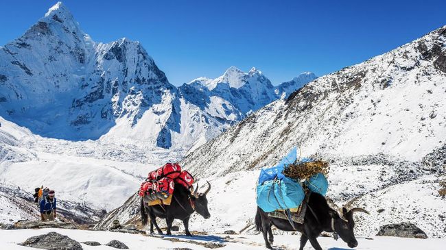 Nepal memulai lagi layanan visa on arrival (visa saat kedatangan). Turis yang telah divaksin diizinkan melewati masa karantina.