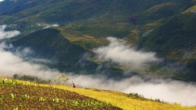Menjamah Biru di Antara Hijau Lembah Baliem