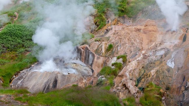 Semenanjung Kamchatka merupakan daratan panjang yang menjorok dari Rusia dan ujung timur laut Asia, dengan panjang 1.250 km dan luas 270.000 km persegi.