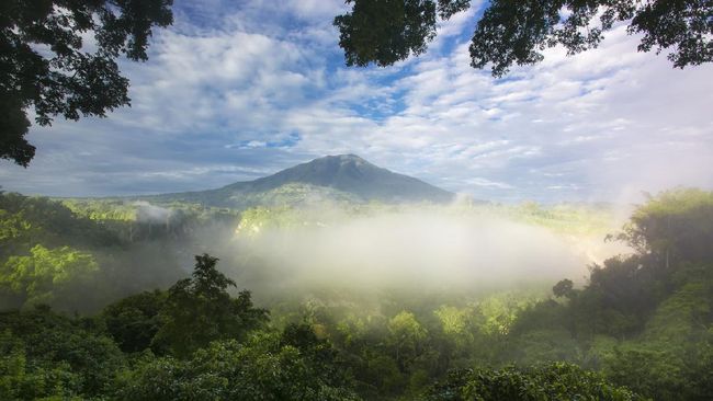 Rumah Pohon Sianok bisa menjadi destinasi wisata kuliner menu khas Sumatera Barat dan wisata pemandangan indah di sisi Ngarai Sianok.