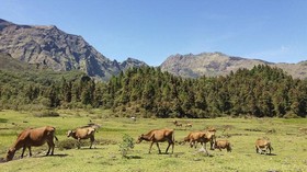 Berkawan dengan Kelok Terjal Lembah Ramma