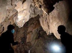 Sulitnya Menyibak Misteri Asal Virus Corona