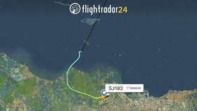 Dirut Sriwijaya Air Sebut Penerbangan SJ 182 Mundur 30 Menit