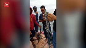VIDEO: Serpihan Kabel Ditemukan di Perairan Pulau Seribu