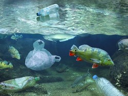 Dibuat Kebingungan, Peneliti di China Temukan Mikroplastik dalam Sperma Manusia