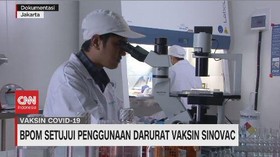 VIDEO: BPOM Keluarkan Izin Pakai Darurat Vaksin Sinovac