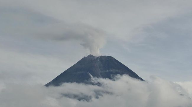 Merapi Kembali Luncurkan Awan Panas Sejauh 1,8 Km Gunung Merapi mengeluarkan awan panas dengan tinggi 500 meter dan mengarah ke hulu Kali Krasak.